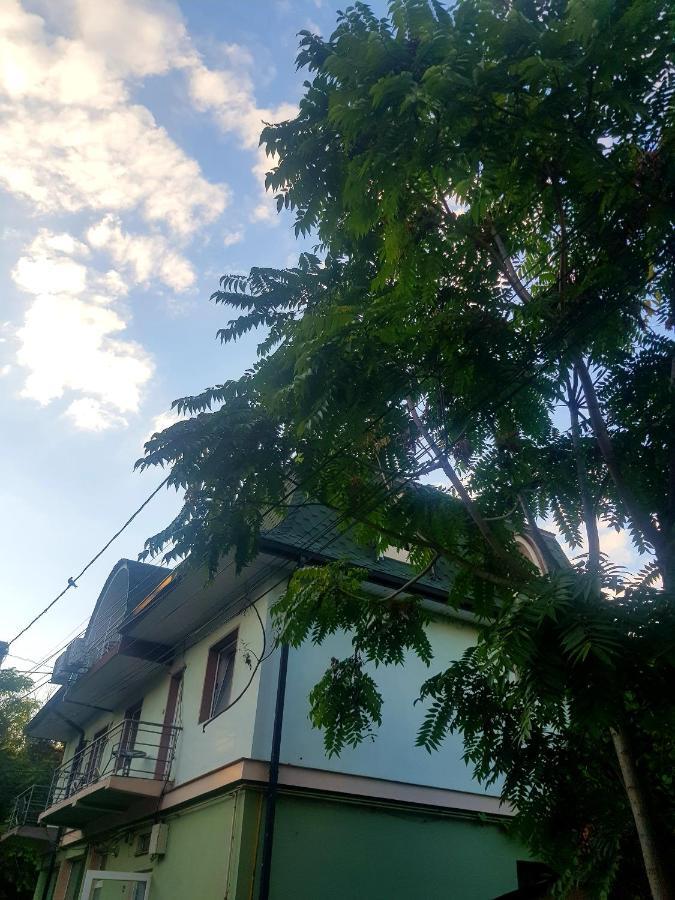 Târgu Jiu Art Boutique Central מראה חיצוני תמונה